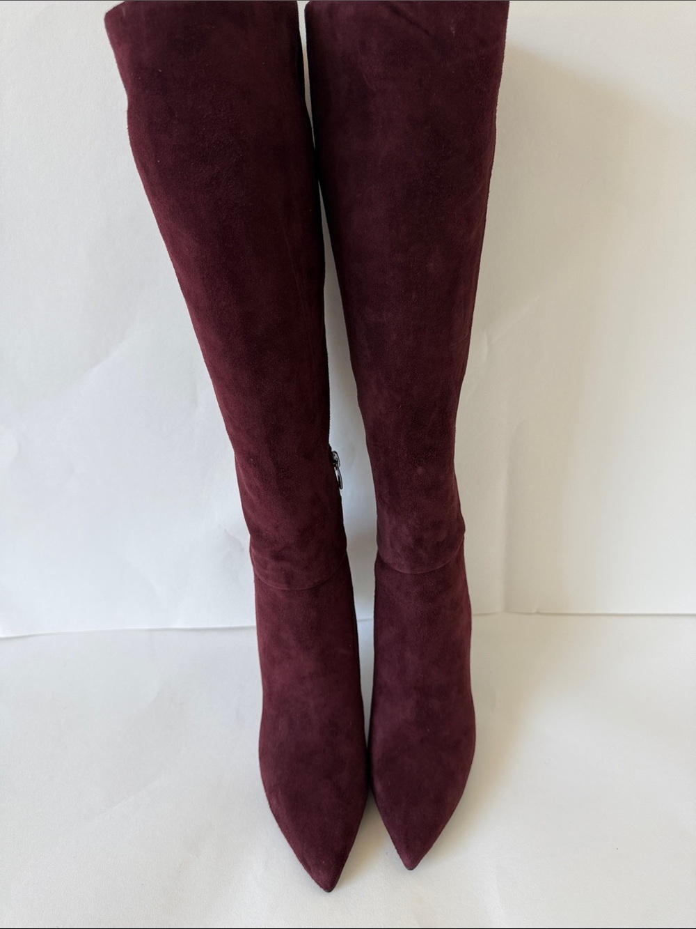Women's Tall Pointed-Toe Suede Boots in Burgundy
